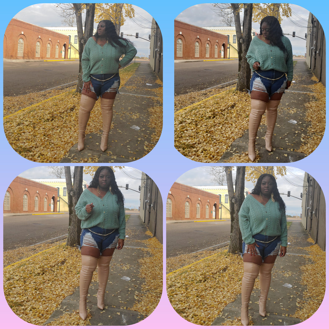 Cardigan Sweater